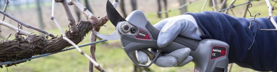 Les meilleurs s&eacute;cateurs &agrave; batterie Ausonia en promotion sur AgriEuro