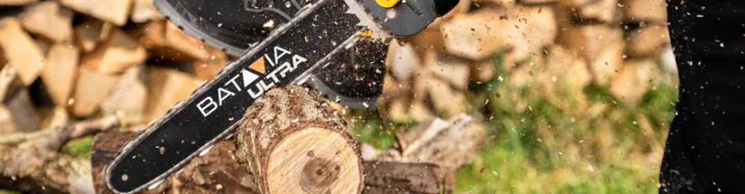 Les meilleures tron&ccedil;onneuses Batavia en promotion sur AgriEuro