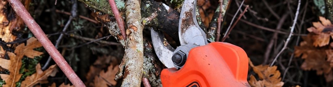 Les meilleurs s&eacute;cateurs &agrave; batterie Black and Decker en promotion sur AgriEuro