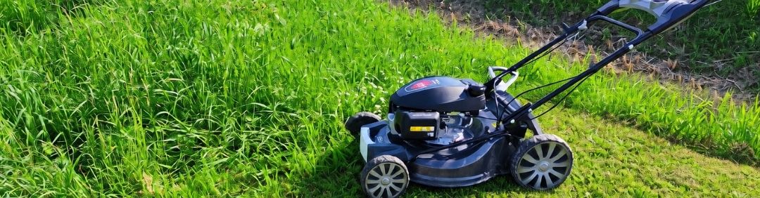 Les meilleures tondeuses BlackStone en promotion chez AgriEuro