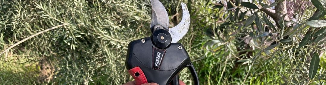 The best Blue Bird battery-powered pruning shears on offer at AgriEuro