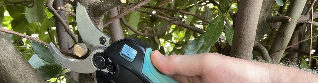 The best Campagnola battery-powered pruning shears on offer at AgriEuro