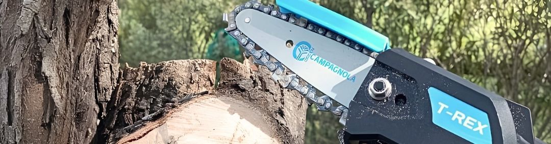 Les meilleures &eacute;lagueuses Campagnola en promotion sur AgriEuro