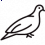 Perdrix grise
