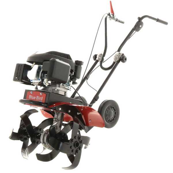 Prix Motobineuses Blue Bird