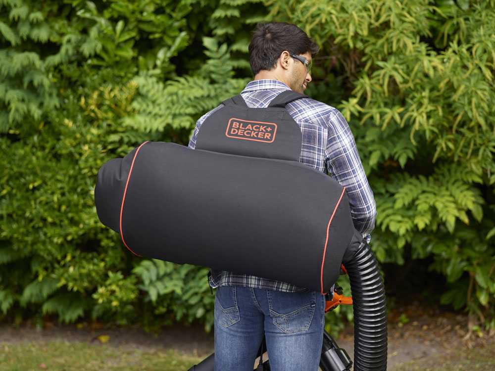 Ribiland Aspirateur Souffleur Broyeur De Feuilles 3000W - Puissant Et Léger Pour Jardin