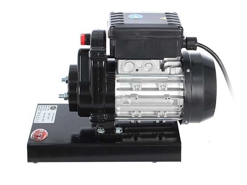 R.G.V. Pommi - &Eacute;p&eacute;pineuse avec moteur &eacute;lectrique 450 W 220 V