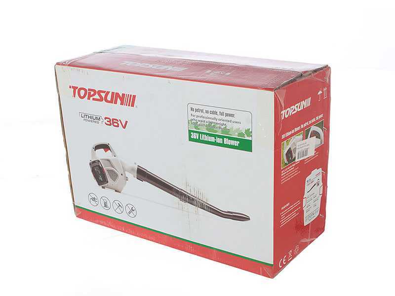 Topsun - Souffleur de feuilles &agrave; batterie 36 V 2 Ah