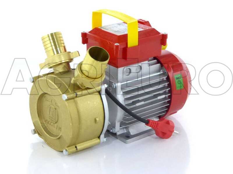 Rover BE-M 40 - Pompe &eacute;lectrique de transfert en bronze - Monophas&eacute;e - 230V