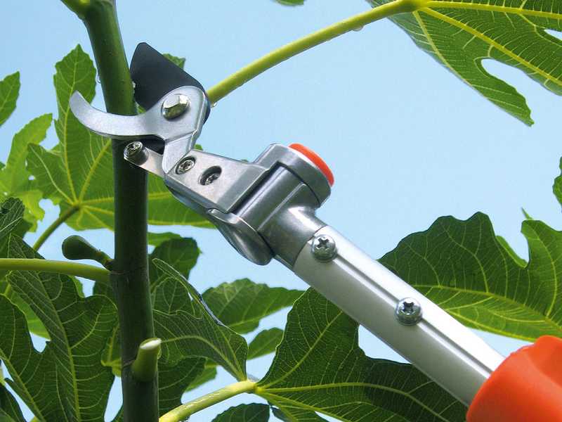 Stocker Art. 603 - Coupe-branches t&eacute;lescopique de 130-200&nbsp;cm - perche et t&ecirc;te orientables