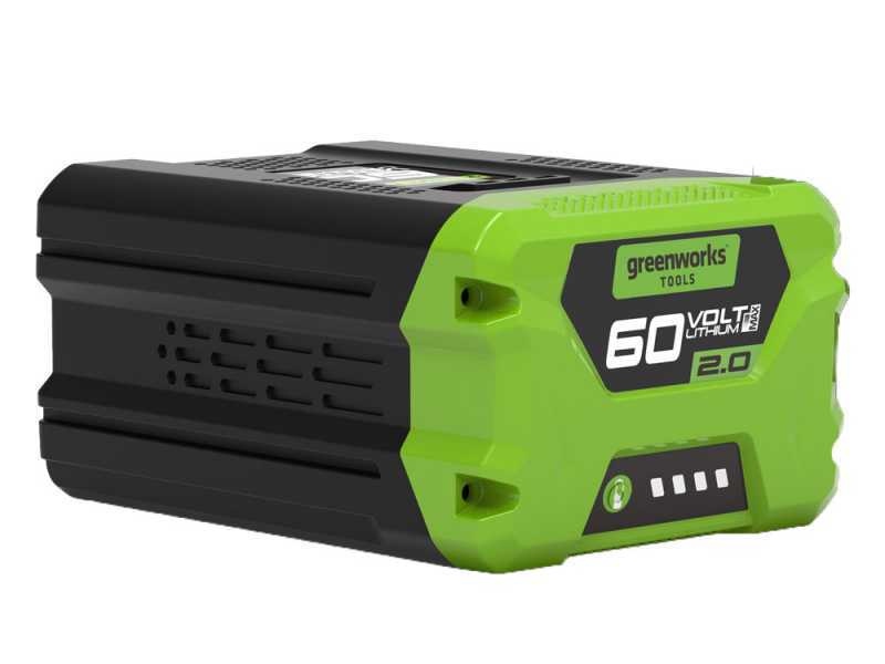 Greenworks GD60PS - Perche &eacute;lagueuse &agrave; batterie sur rallonge - Batterie 60V 2Ah