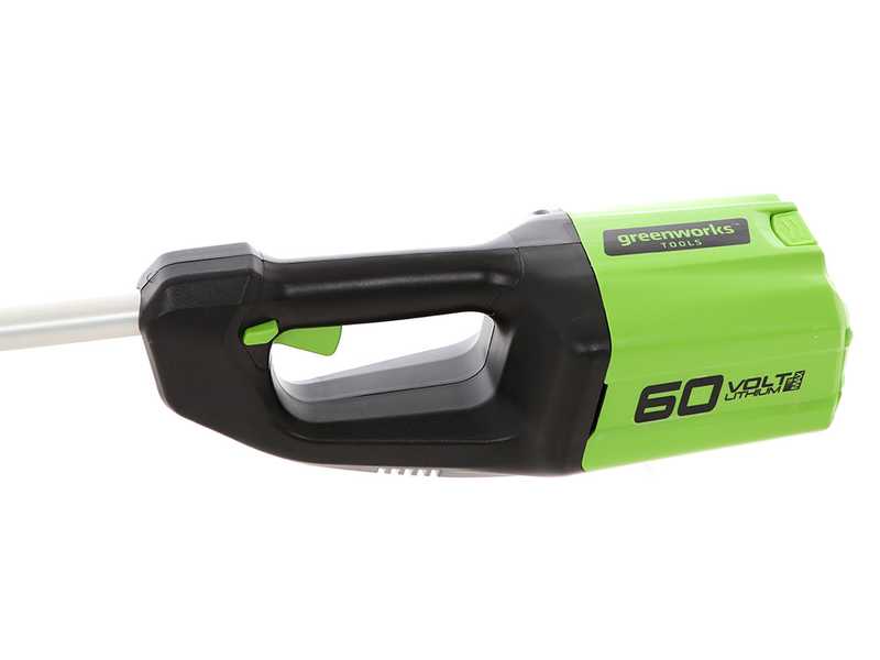 Greenworks GD60PS - Perche &eacute;lagueuse &agrave; batterie sur rallonge - Batterie 60V 2Ah