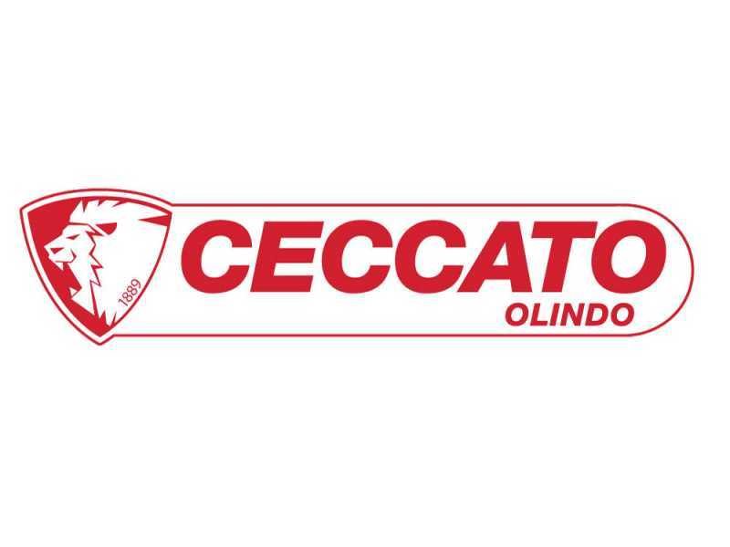 Ceccato Olindo BULL SPLE10 - Fendeuse &agrave; bois &eacute;lectrique - Verticale - 230V