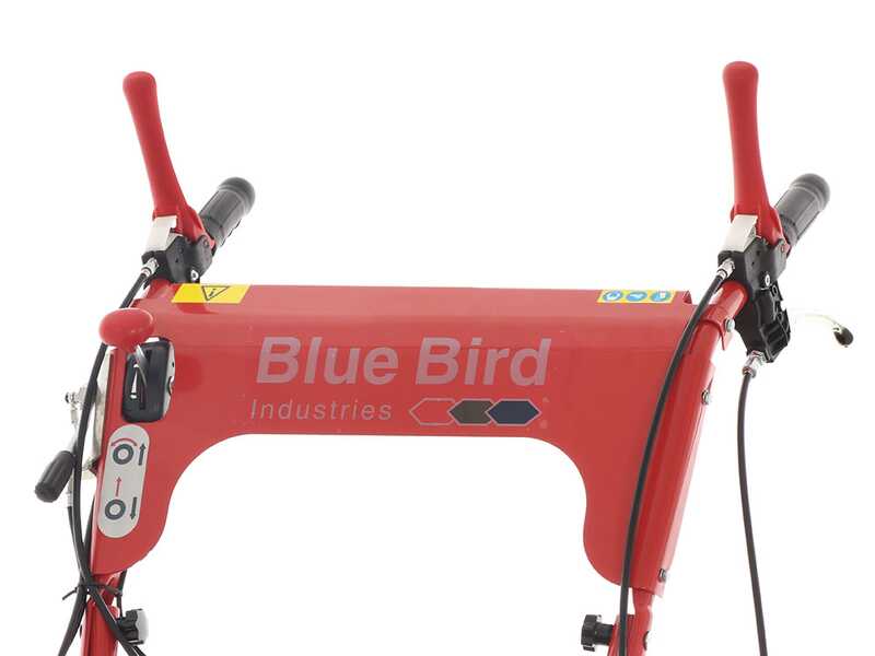 Blue Bird FM600 - Tondeuse d&eacute;broussailleuse professionnelle &agrave; couteaux - Loncin LC175F-2