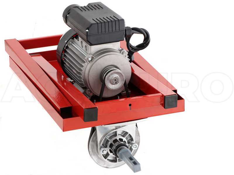 &Eacute;p&eacute;pineuse &eacute;lectrique &agrave; moteur &eacute;lectrique Palumbo Pavi LC PLAST  mont&eacute; sur table - 600W