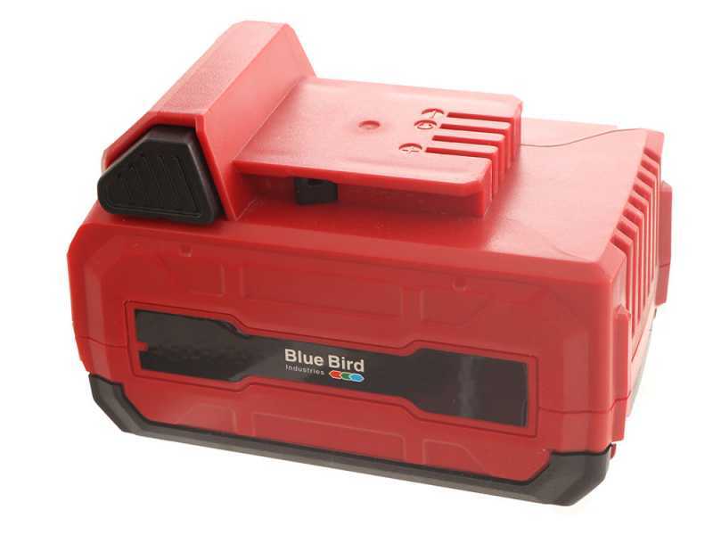 Blue Bird R3S - Souffleur de feuilles &agrave; batterie 40 V 2.5 Ah