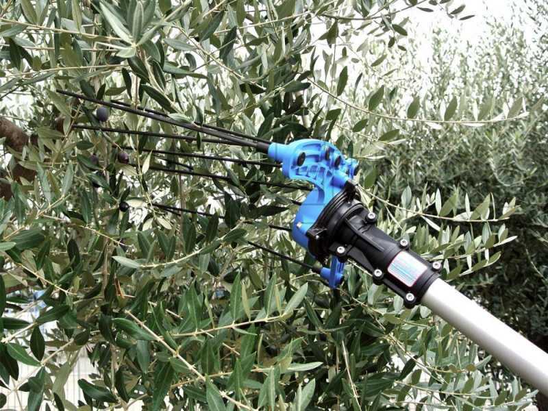 Campagnola HERCULES 58V - 150/220 cm avec arbre en aluminium - Peigne vibreur &eacute;lectrique &agrave; batterie