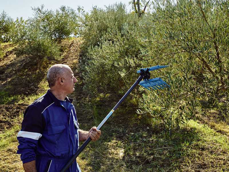 Campagnola OLISTAR METAL TOP - Peigne vibreur pneumatique - secoueur d'olives - 7 bars
