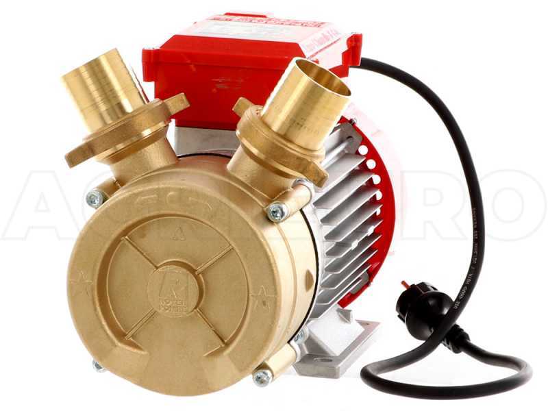 Pompe électrique de transfert Rover 20 CE moteur 0,5 hp – électropompe vin  et eau