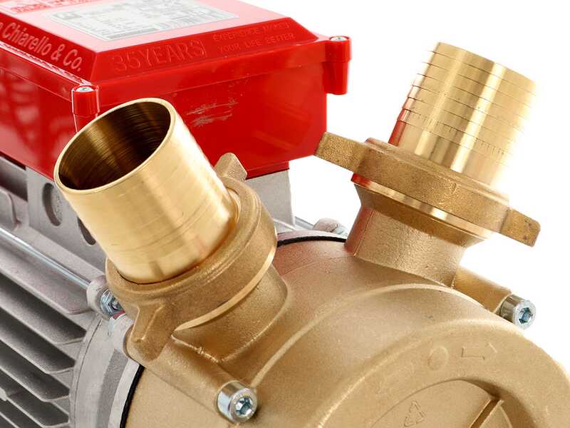 Rover BE-M 50 - Pompe &eacute;lectrique de transfert en bronze - Monophas&eacute; - 230 V