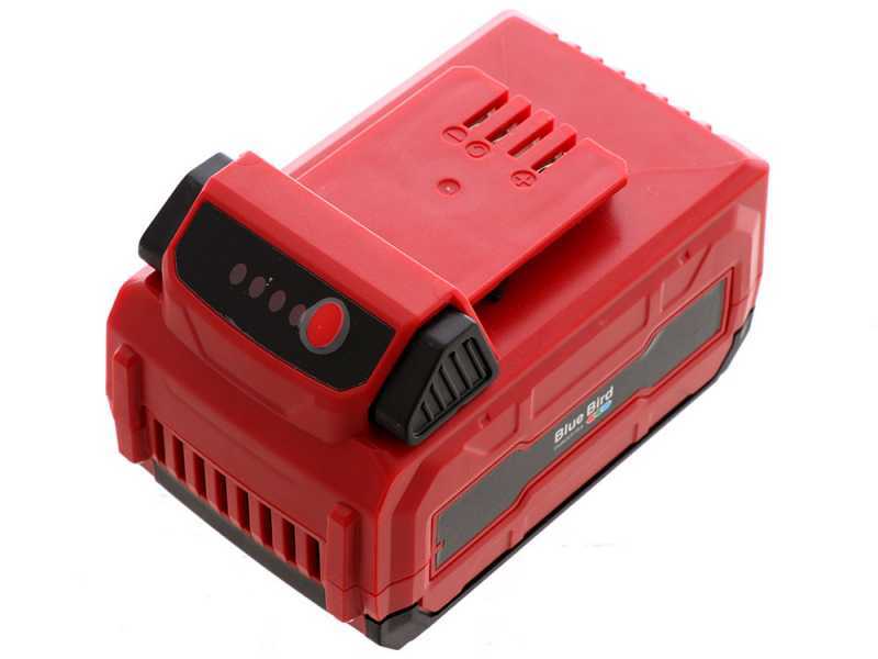 Blue Bird R3S - Taille-haie &eacute;lectrique sur perche de rallonge t&eacute;lescopique - 40V/2,5Ah
