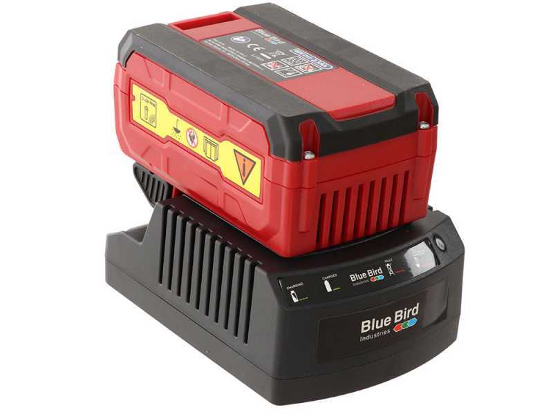 Perche d'&eacute;lagage &agrave; batterie sur perche t&eacute;l&eacute;scopique Blue Bird R3S 40V - jusqu'&agrave; 4m avec l'op&eacute;rateur compris