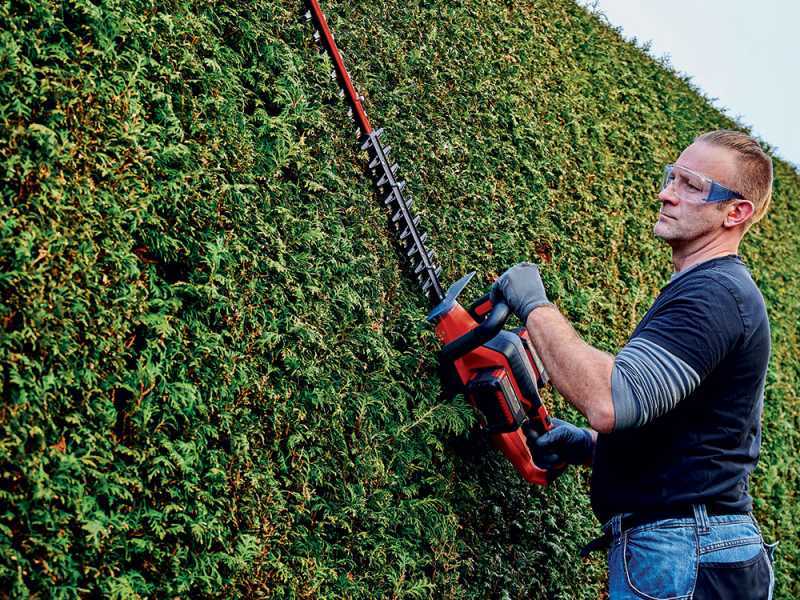 Einhell GE-CH 36/65 Li - Taille-haie &agrave; batterie lithium avec lamier de 65 cm - SANS BATTERIE NI CHARGEUR