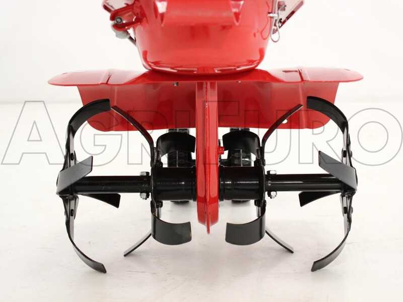 Eurosystems Z2 -Motobineuse &agrave; essence 3,5 CV -  Moteur Briggs&amp;Stratton 450