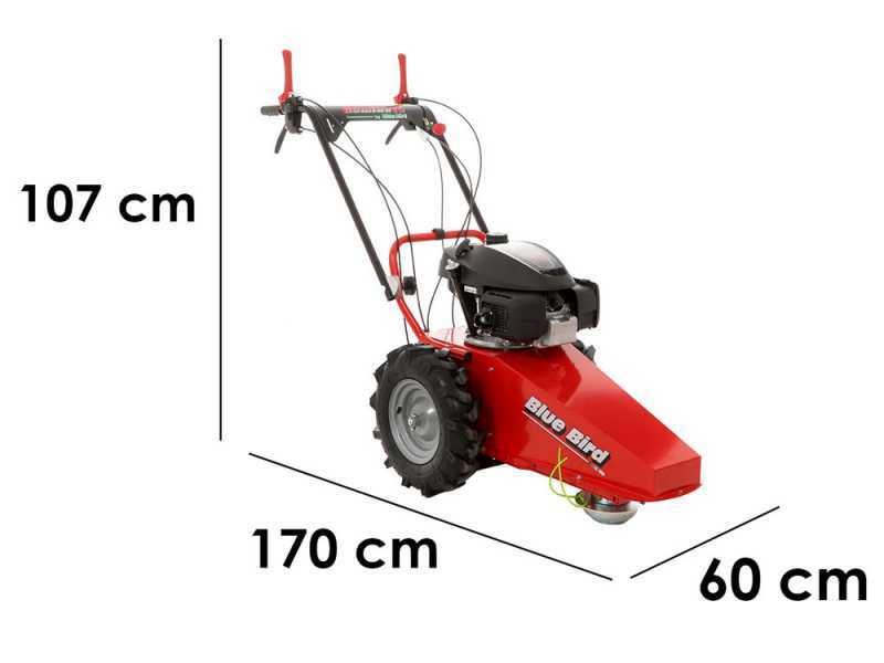 Blue Bird Domino - Tondeuse d&eacute;broussailleuse thermique - Lame et fil - Honda GCV 200