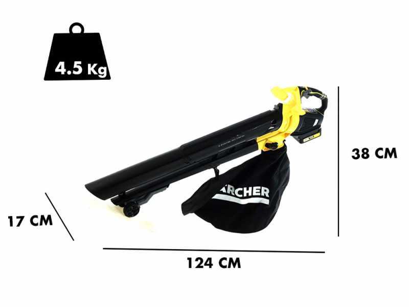 Souffleur aspirateur pour feuilles &agrave; batterie Karcher BLV 18-200