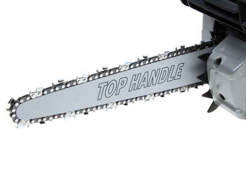 Alpina A 25 C - Tronçonneuse de coupe thermique - Lame Carving de 25 cm