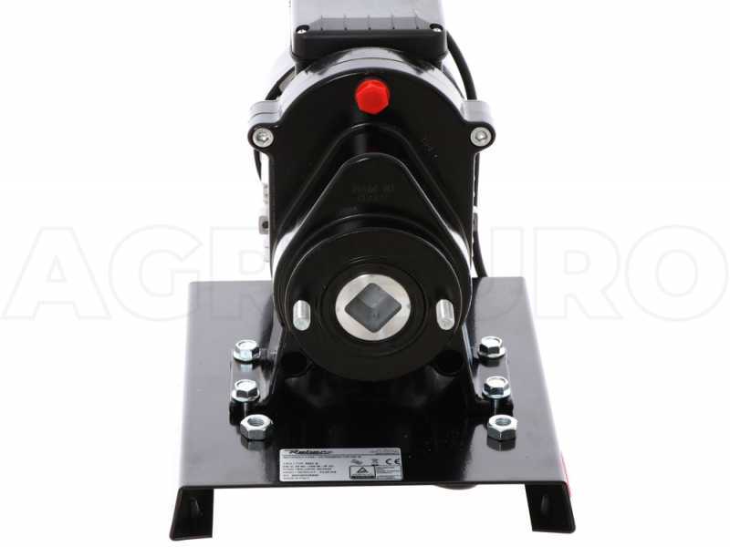 Reber N.5 9601N-8400N - Extrudeuse - Machine &agrave; p&acirc;tes avec moteur &eacute;lectrique &agrave; induction 500W