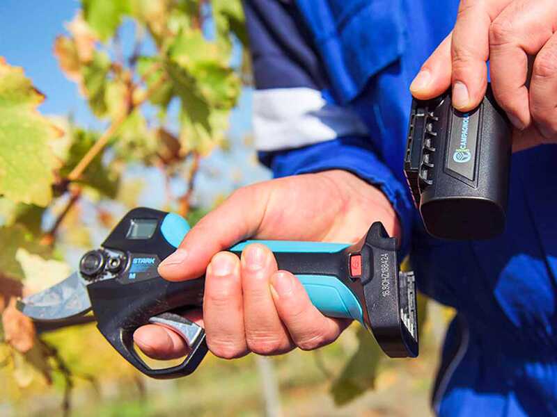 Campagnola Stark XM - S&eacute;cateur &eacute;lectrique de taille - 3x 14,4V 2,5 Ah