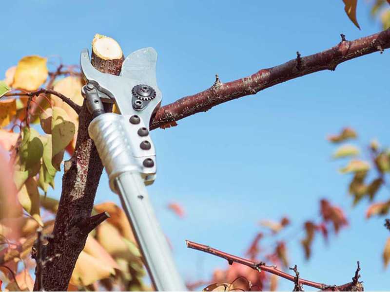 S&eacute;cateur &eacute;lectrique Easy 150 de taille Campagnola - Diam&egrave;tre de coupe 36 mm - SANS BATTERIE