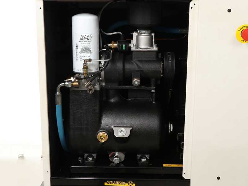 Fiac New Silver D 20/300 - Compresseur rotatif triphas&eacute; &agrave; vis silencieux - S&eacute;cheur d'air int&eacute;gr&eacute; -  - Moteur 20 CV