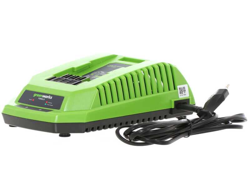 Greenworks GD40TCS - Tron&ccedil;onneuse de taille &eacute;lectrique 40V 2Ah - Guide 25 cm