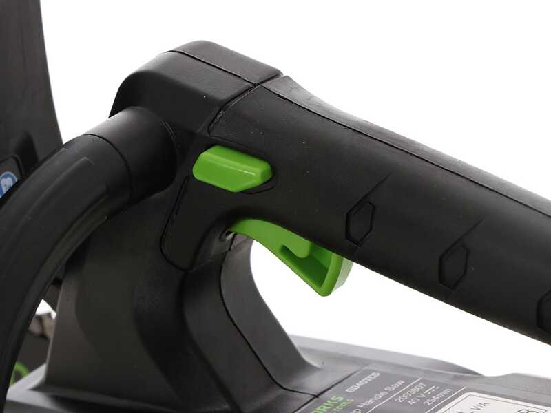 Greenworks GD40TCS - Tron&ccedil;onneuse de taille &eacute;lectrique 40V 2Ah - Guide 25 cm