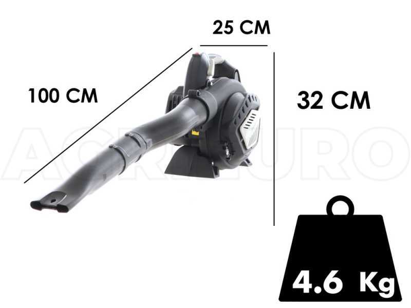 Lampacrescia MGM TTR790 - Tondeuse d&eacute;broussailleuse &agrave; couteaux - Honda GX270