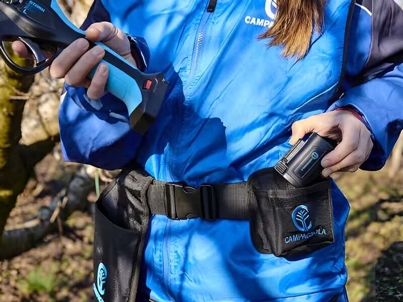Campagnola Stark XL - S&eacute;cateur &eacute;lectrique de taille avec kit de c&acirc;ble et &eacute;tui pour batterie - 3x 21,6V 2,5 Ah