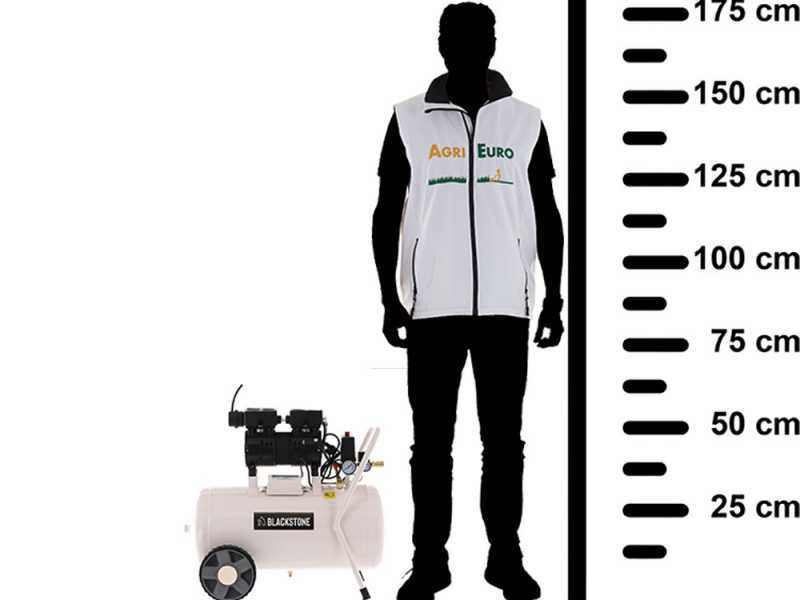 BlackStone SBC 50-10 - Compresseur d'air &eacute;lectrique insonoris&eacute;