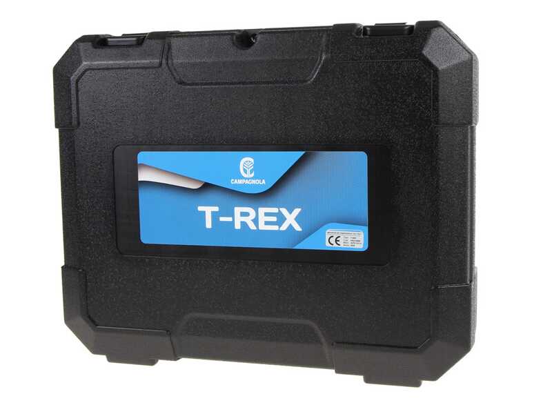 &Eacute;lagueuse sur batterie Campagnola T-Rex - 1 batterie de 4 Ah + 1 batterie de 2,5 Ah