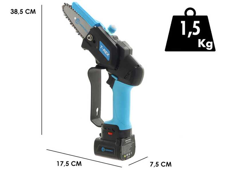 &Eacute;lagueuse sur batterie Campagnola T-Rex - 1 batterie de 4 Ah + 1 batterie de 2,5 Ah