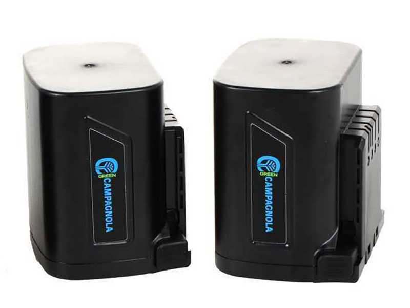 &Eacute;lagueuse sur batterie Campagnola T-Fox - 2 batteries de 21,6 V - 4 Ah