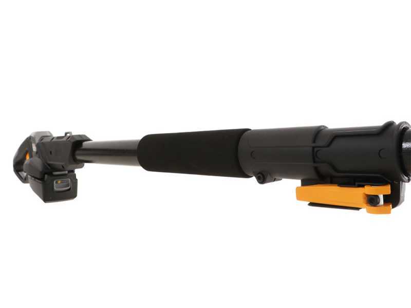 Alpina AMT 20 Li - &Eacute;lagueuse sur perche t&eacute;lescopique &agrave; batterie multifonction - batterie 20V 4Ah