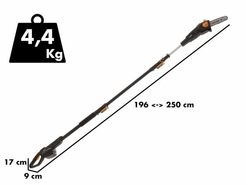 Alpina AMT 20 Li - &Eacute;lagueuse sur perche t&eacute;lescopique &agrave; batterie multifonction - batterie 20V 4Ah
