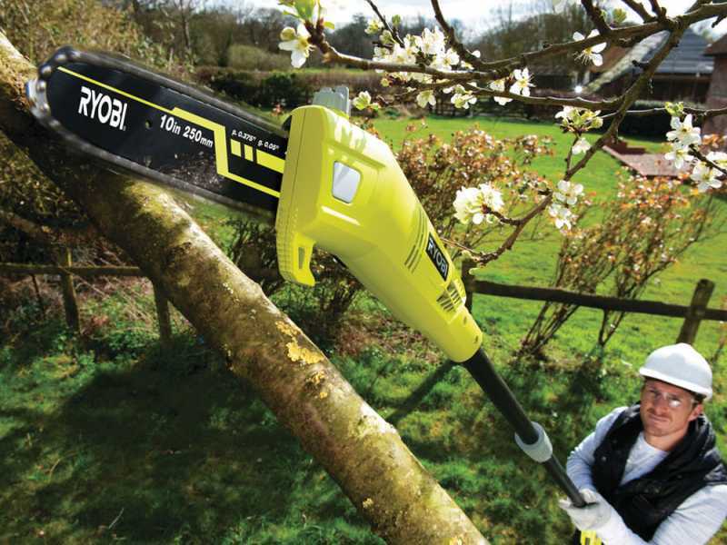 &Eacute;lagueuse &eacute;lectrique sur perche de rallonge r&eacute;glable Ryobi RPP755E - Guide Oregon 25 cm