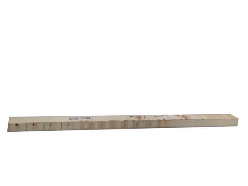 S&eacute;cateur &eacute;lectrique de taille BlackStone 500-BP avec perche BlackStone 32-H de 2,5 mt - Coupe &agrave; enclume - Diam&egrave;tre de coupe 40 mm