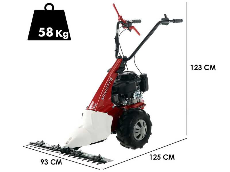 Motofaucheuse Minieffe RM Eurosystem tract&eacute;e avec moteur Loncin 196