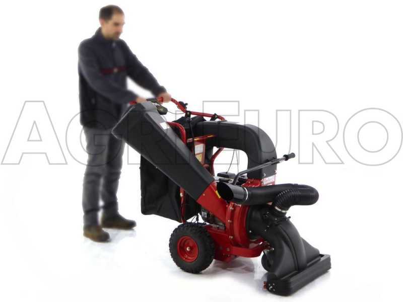 Aspirateur Broyeur tract&eacute; &agrave; vitesse GeoTech LV650 SPBS Deluxe - Briggs&amp;Stratton