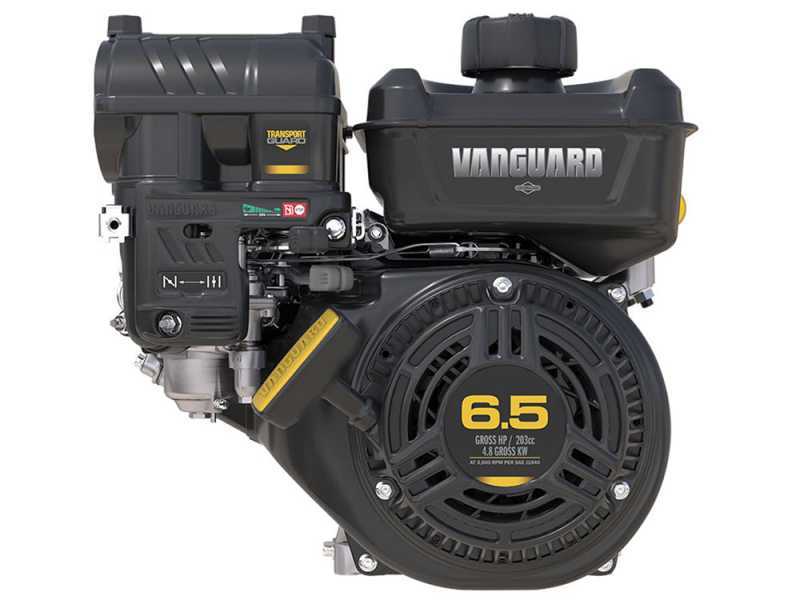 GeoTech LV650 SPBS Deluxe - Aspirateur Broyeur tract&eacute; &agrave; vitesses - B&amp;S Vanguard